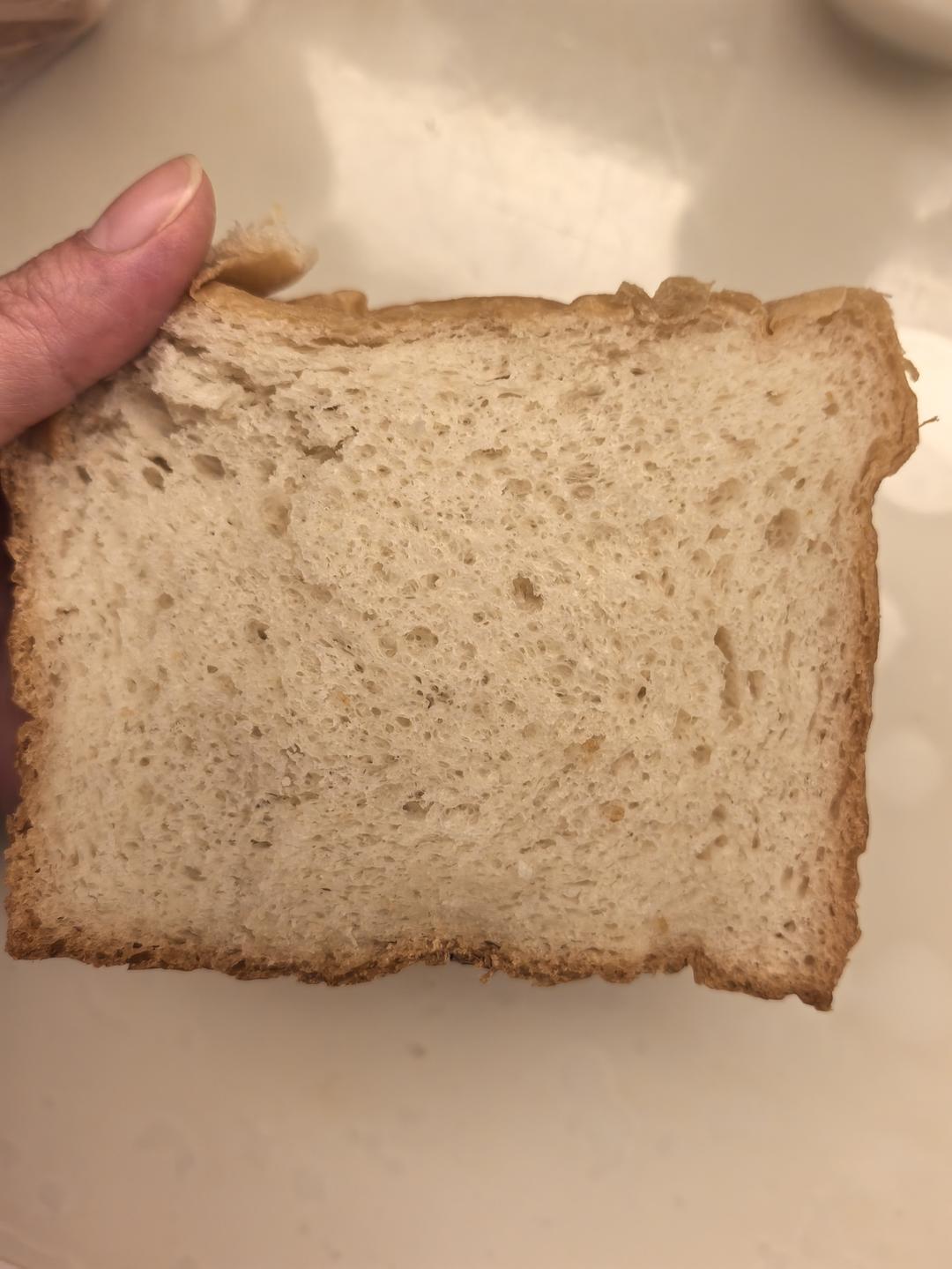 100%含水量豆腐生吐司