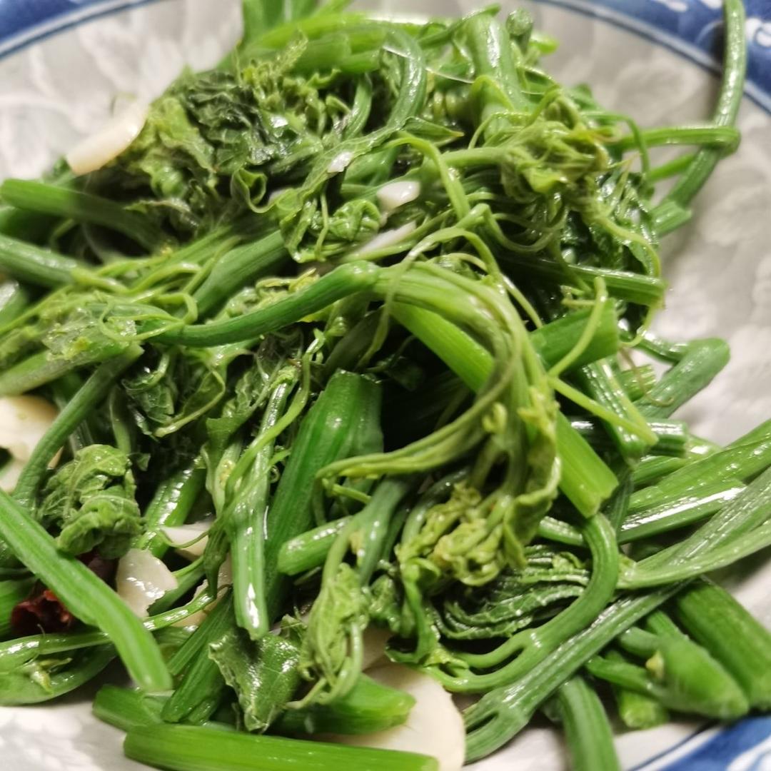 蒜蓉南瓜苗