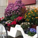 手机用户8856_xgzn