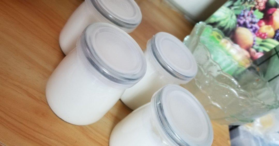 超懒人双皮奶（烤箱版）