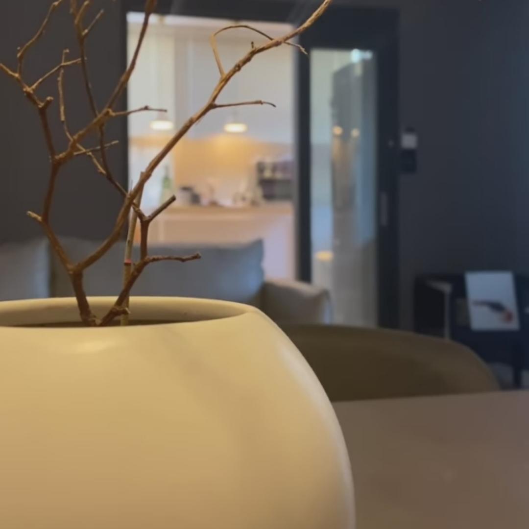 刘汽水