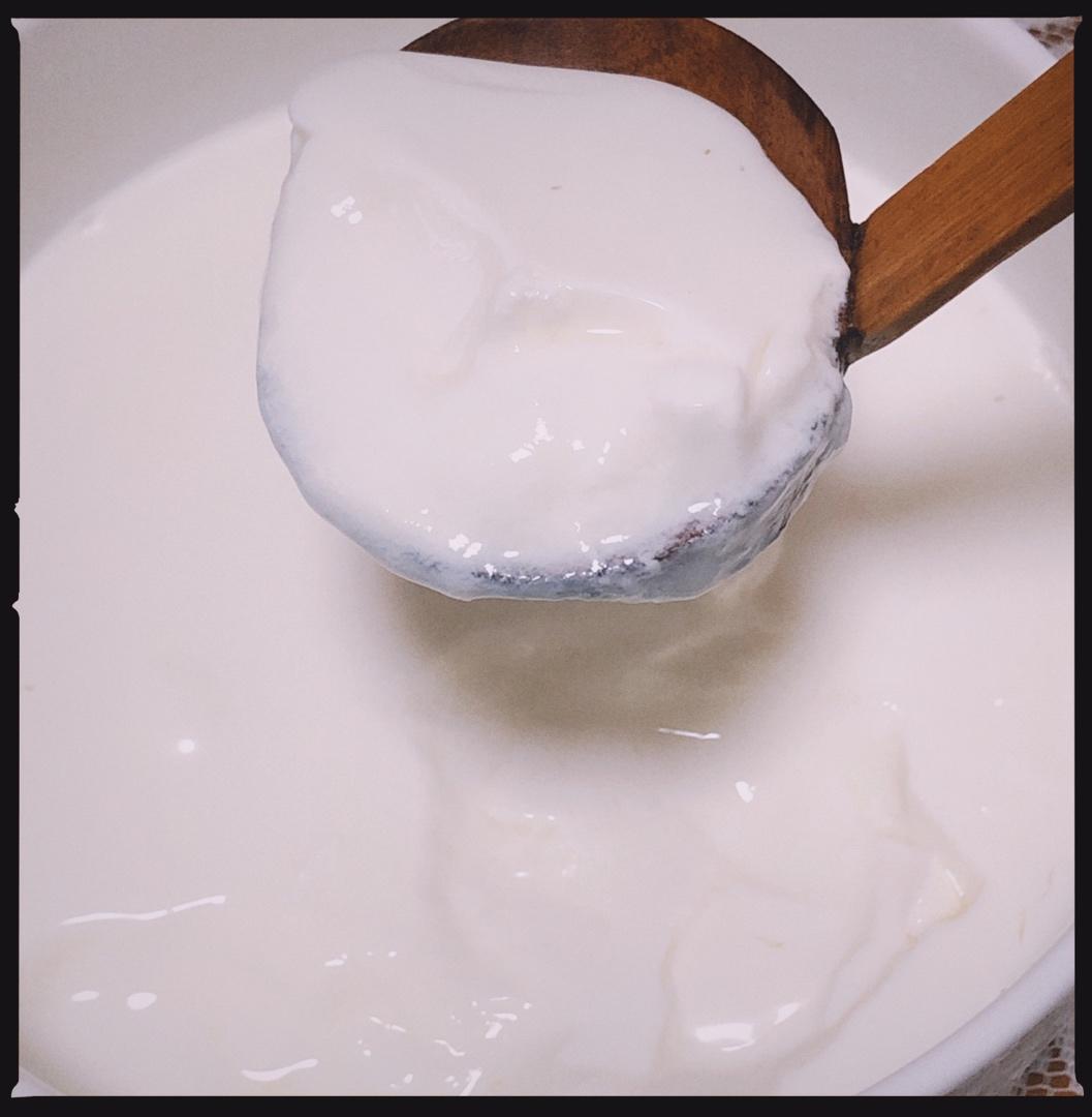 仅用牛奶+不插电电饭煲的自制酸奶！