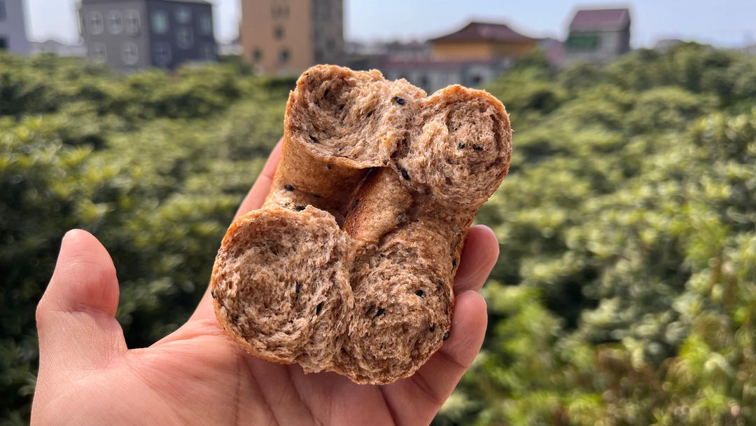 100%全麦贝果 基础纯全麦贝果