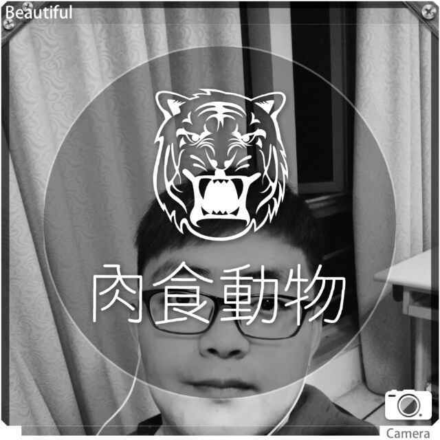 稳-17