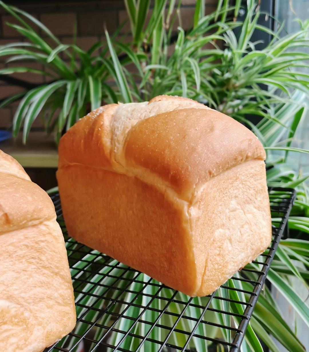 温柔咸香--奶盐小吐司