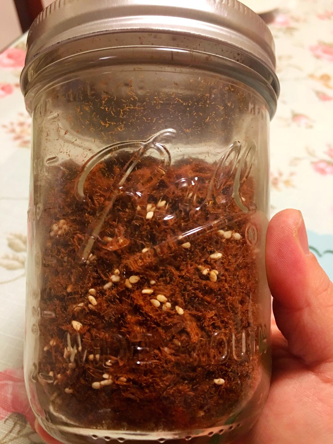 面包机版鸡肉松