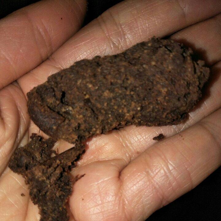 香蕉核桃布朗尼——全世界最好吃的烂香蕉！