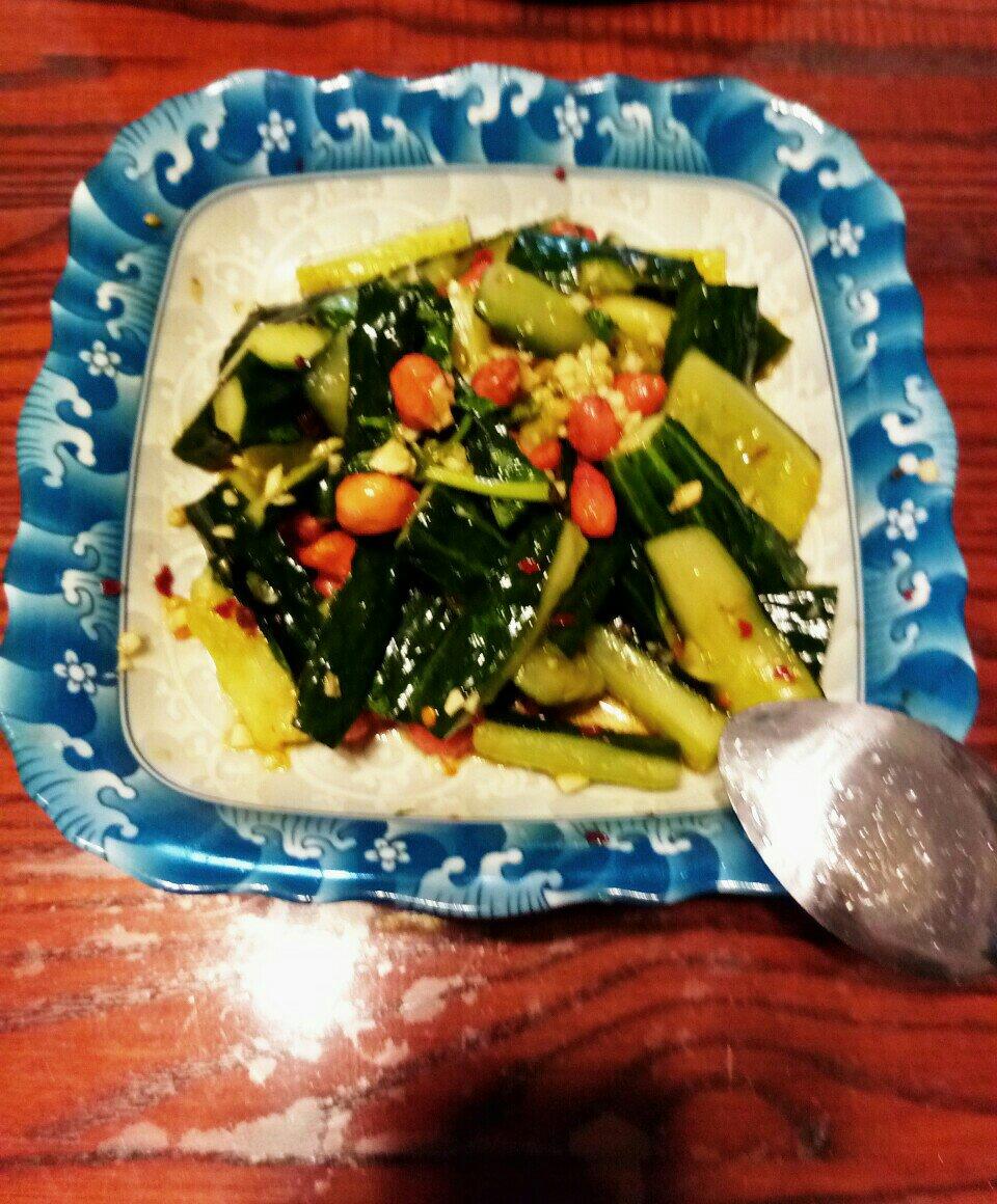 拍黄瓜