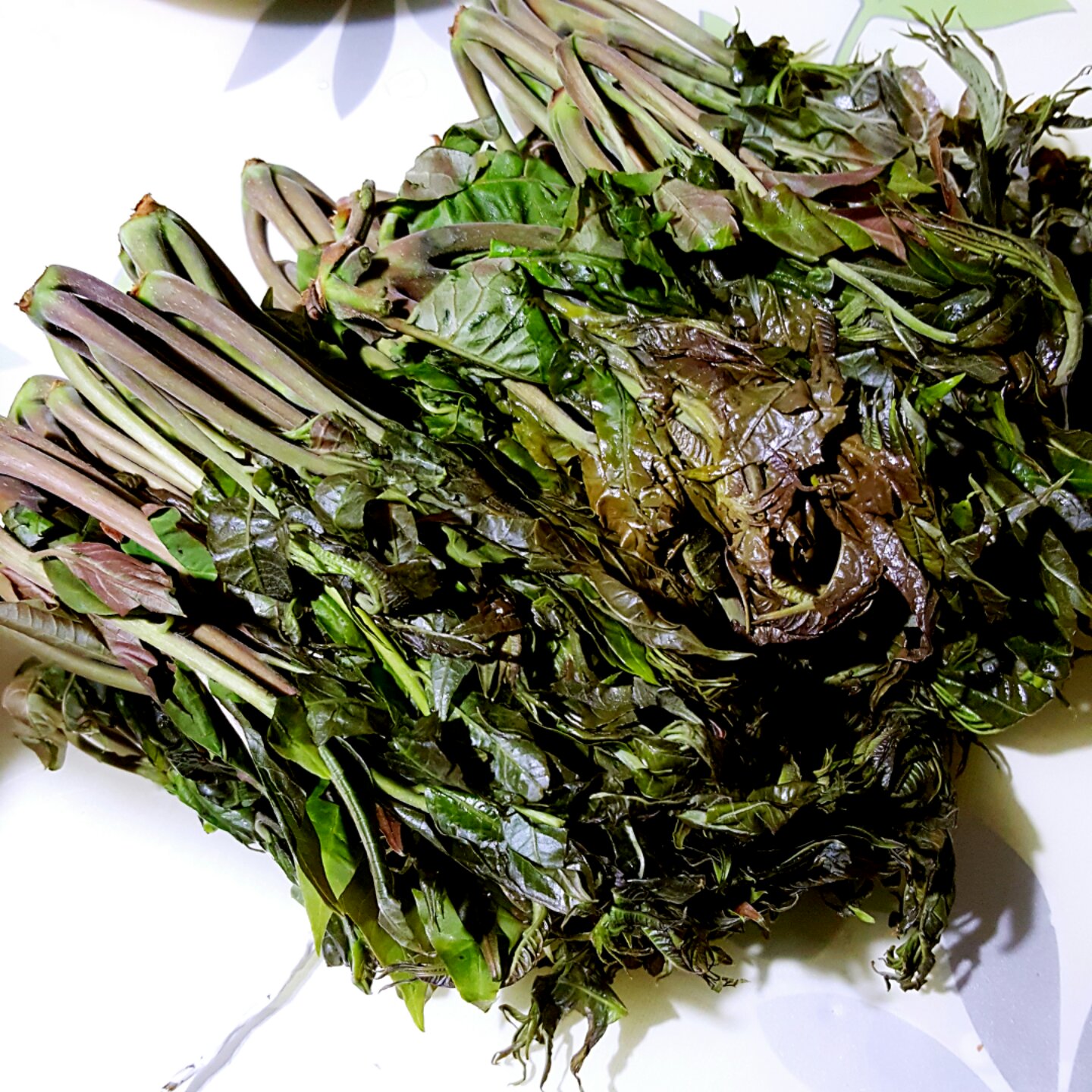 腌香椿