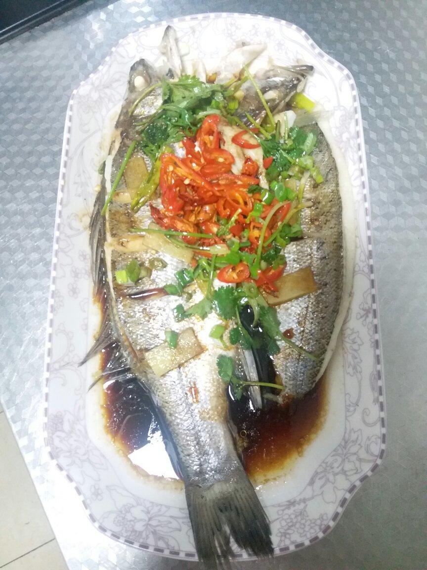 黄小厨版清蒸海鲈鱼