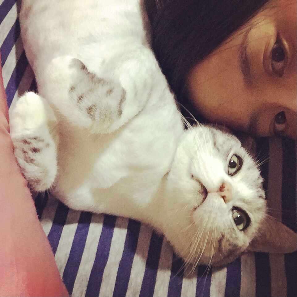胖球的女佣