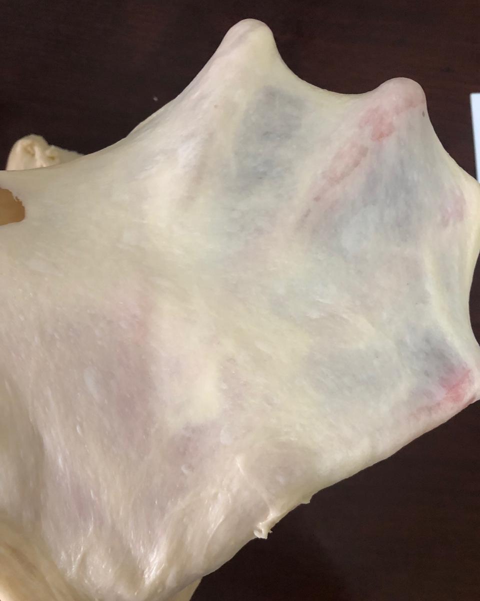 【北海道吐司】体验经典-妃娟100%中种，冷藏冰种的美味