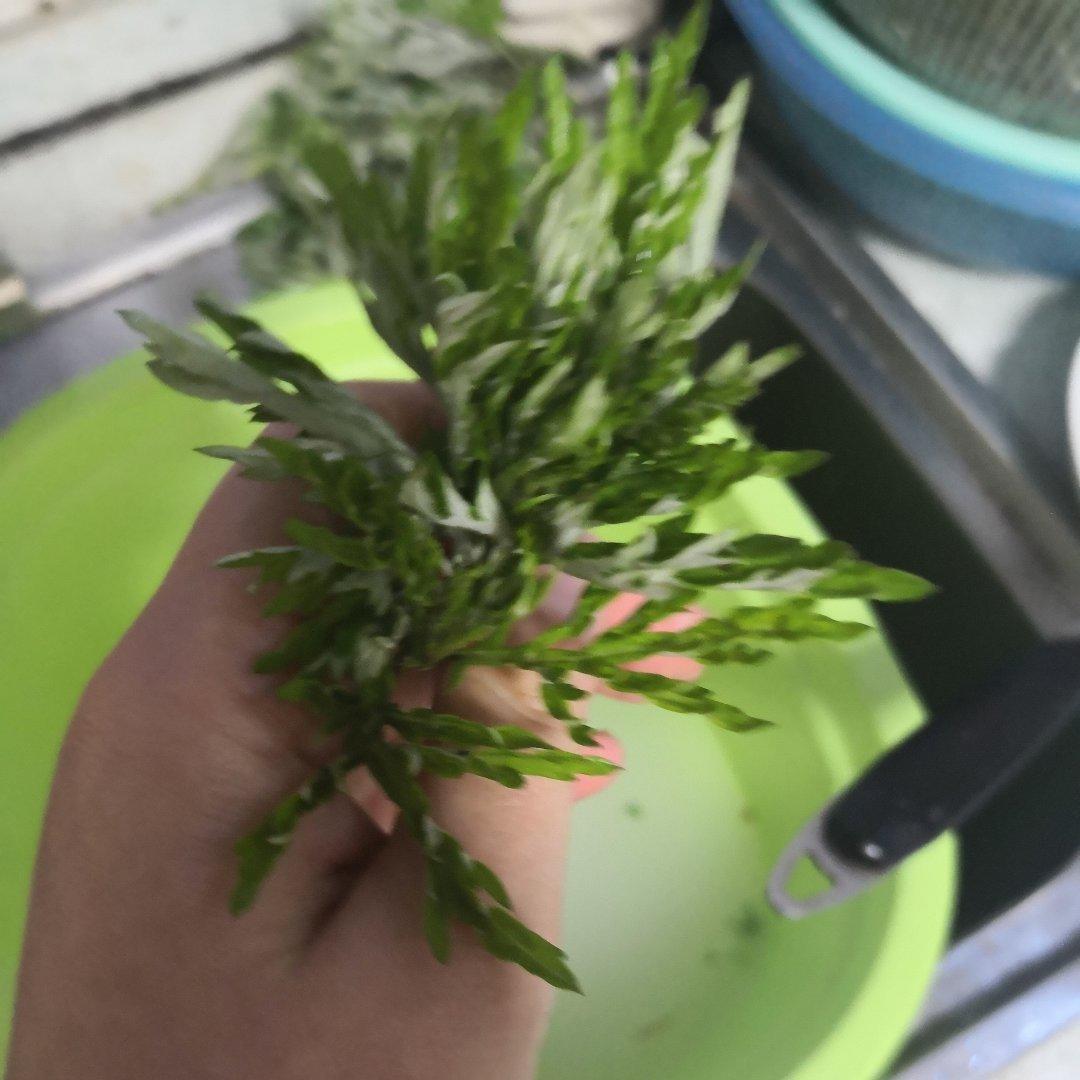 蒿子粑粑