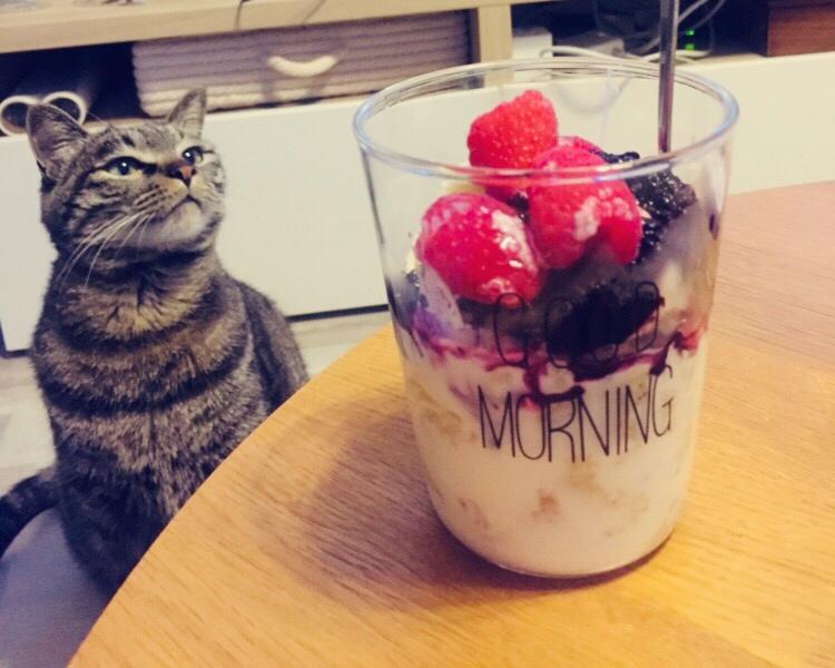 隔夜早餐杯——剩面包的华丽转身