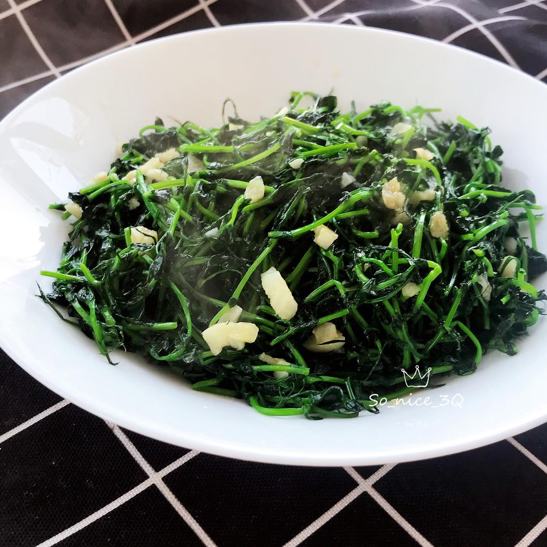 从一盆草到一盘草 蚝油蒜香豌豆苗的做法