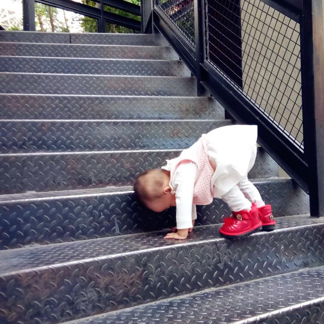 池小花有一个烤箱