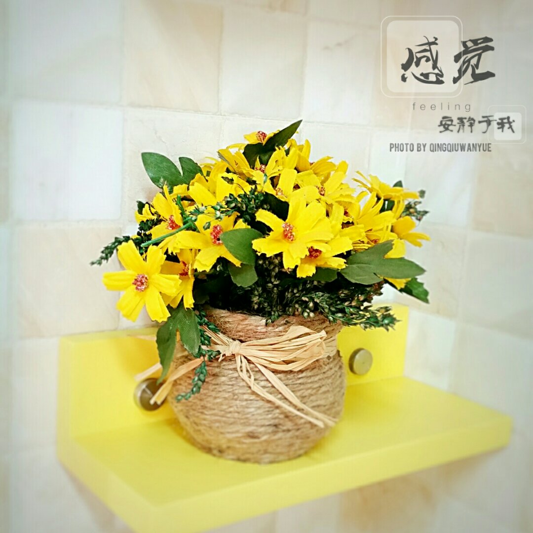 疯子的摄影作业~