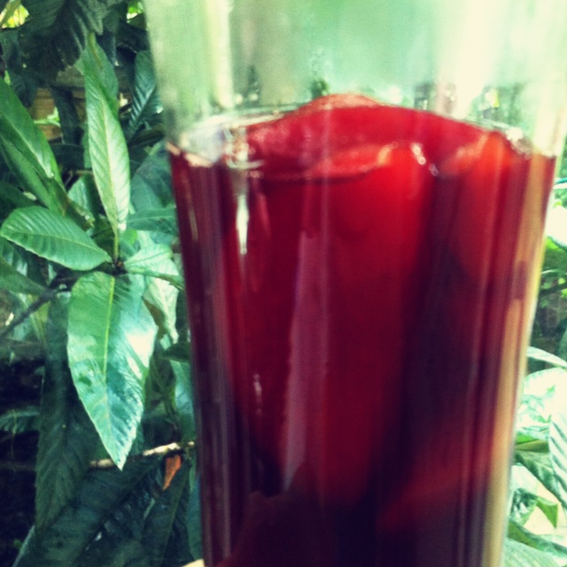 法式红酒炖桃子