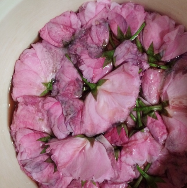 萌思逸做的盐渍樱花