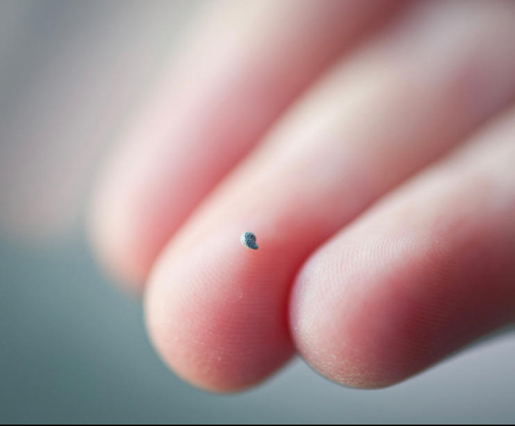 健康食谱推荐孕1月(1-4周)一天饮食参考的做法