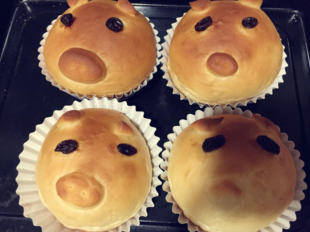 猪猪🐷面包