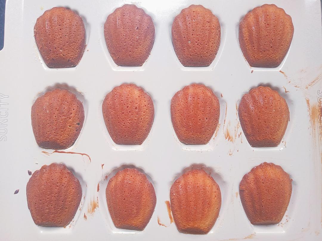 《Tinrry+》柠檬玛德琳