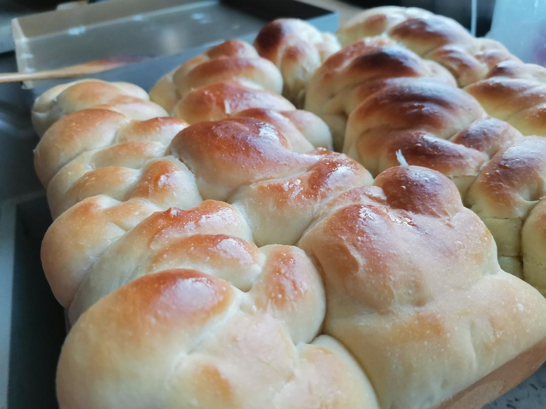 酸奶老面包 只需一次发酵