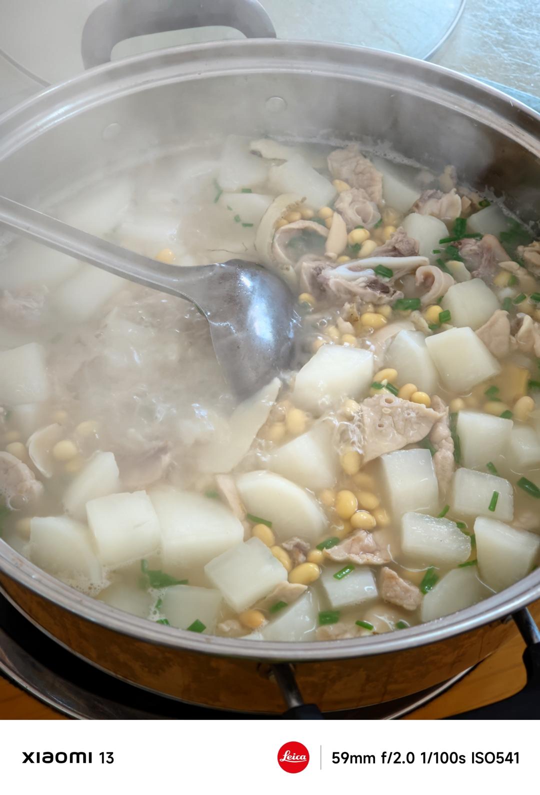 猪肺萝卜黄豆五指毛桃汤（八人份）