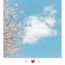 手机用户5105_6kgp