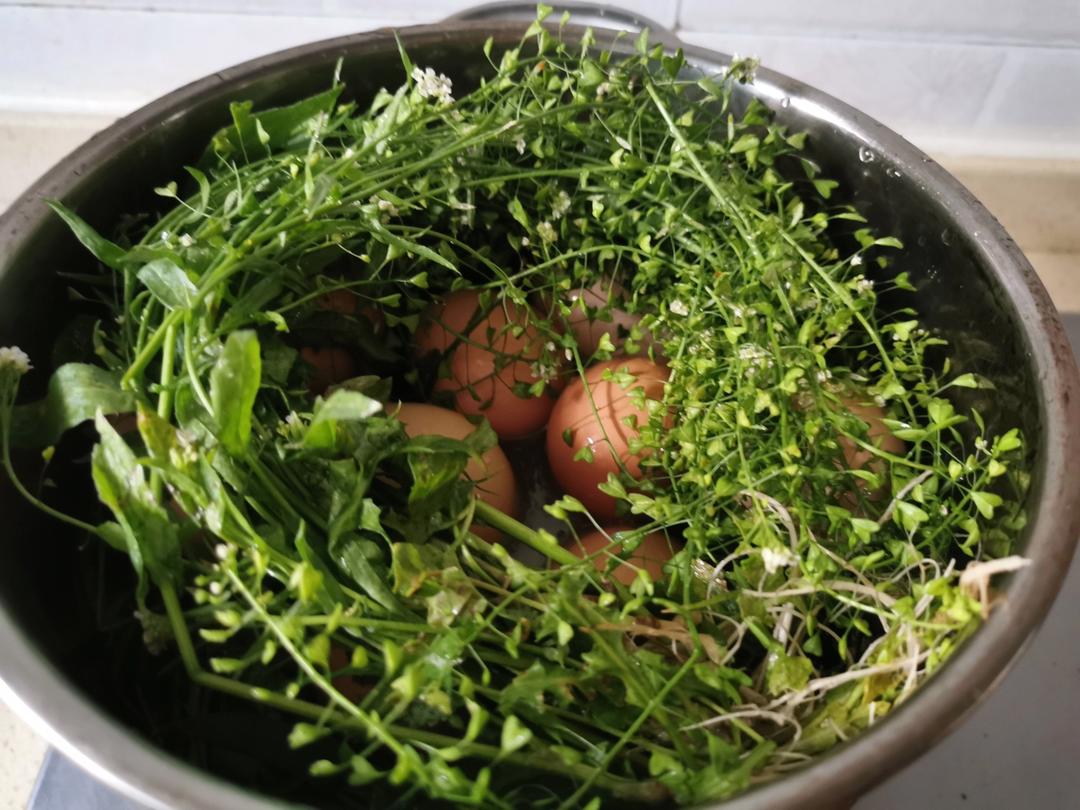 荠菜花煮鸡蛋（这天吃一年不头疼）