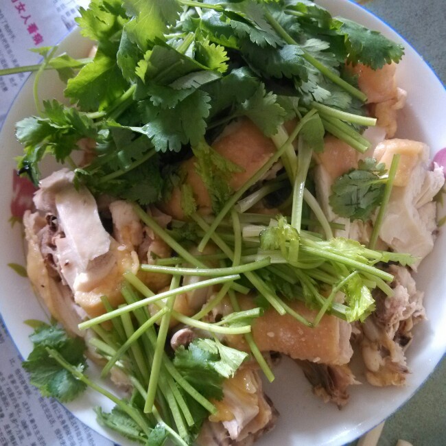 白切鸡