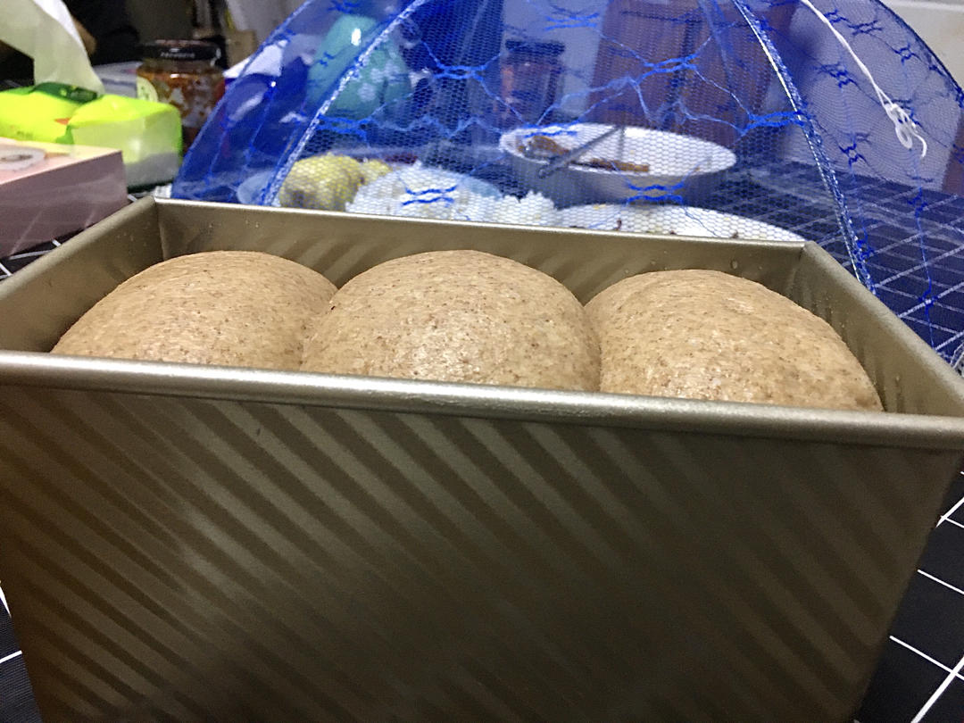 100%全麦吐司（波兰种·手揉）