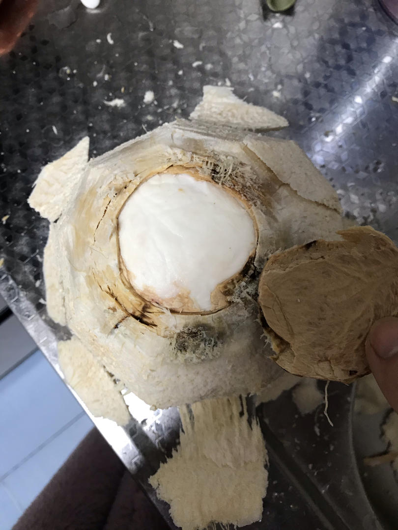 简单快手开椰子