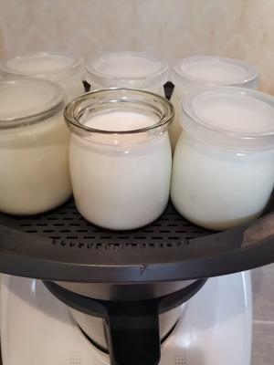 自制原味酸奶的做法 步骤6
