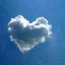 手机用户8181_e7zt