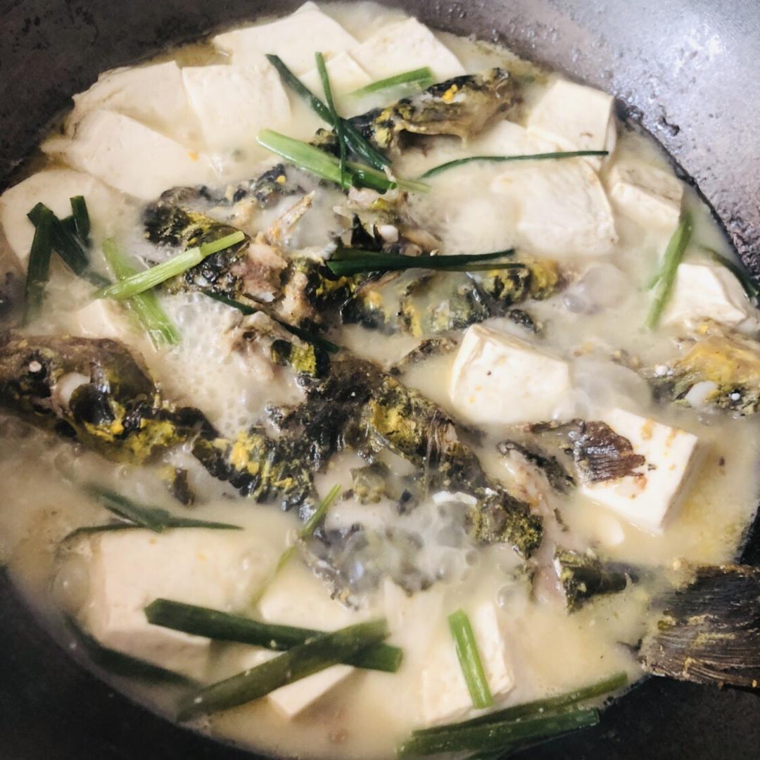 昂刺鱼豆腐汤