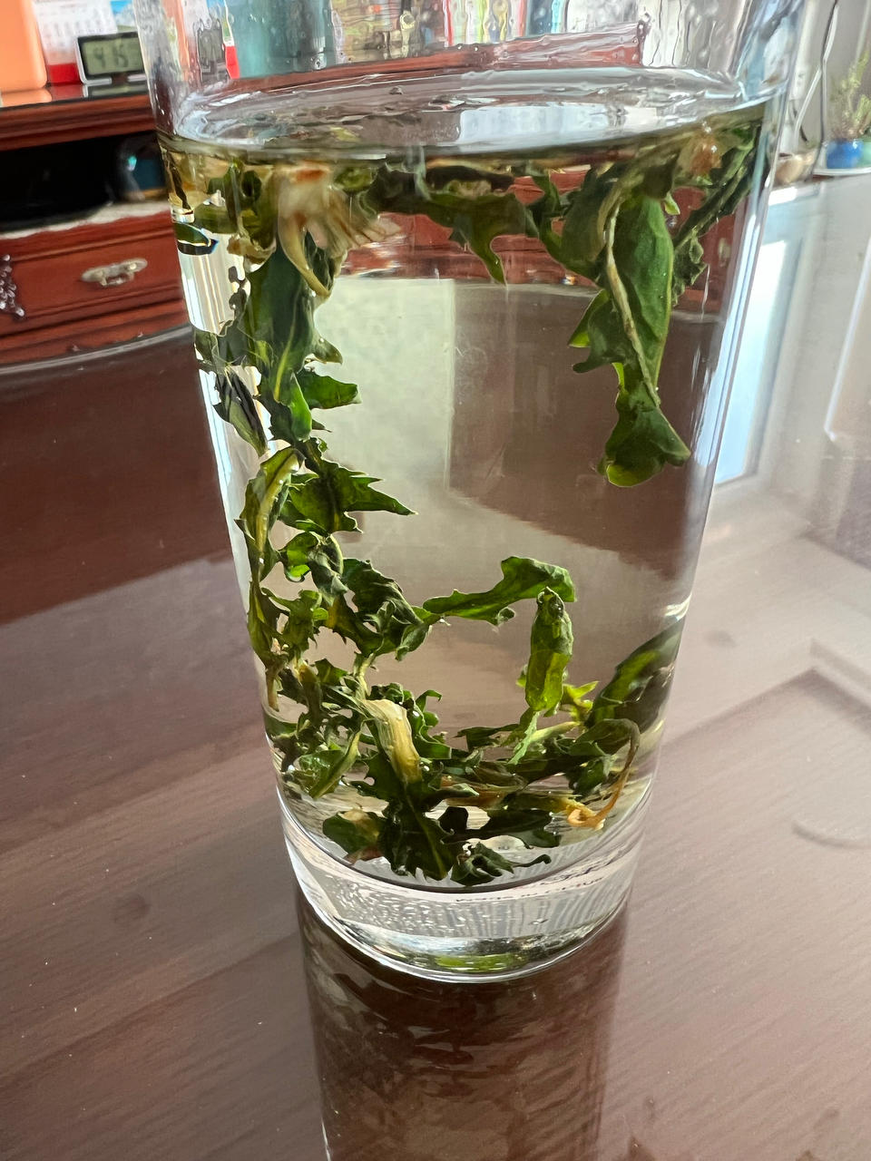 蒲公英茶（不用水焯）