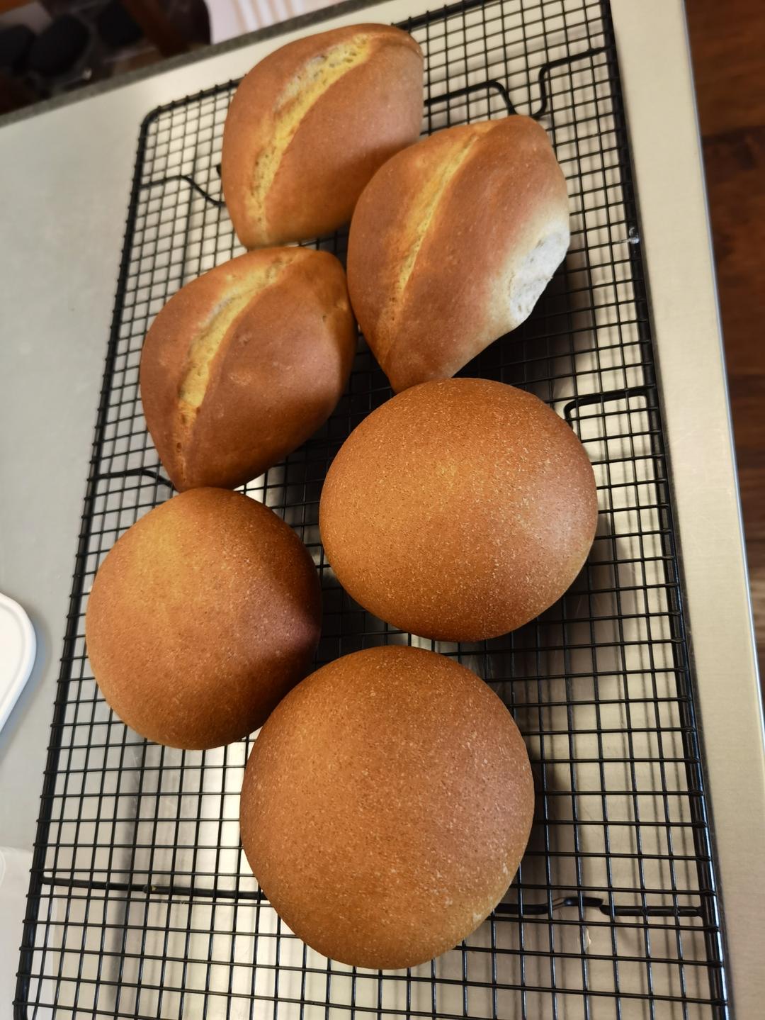 50%黑麦全麦汉堡胚（六个量）