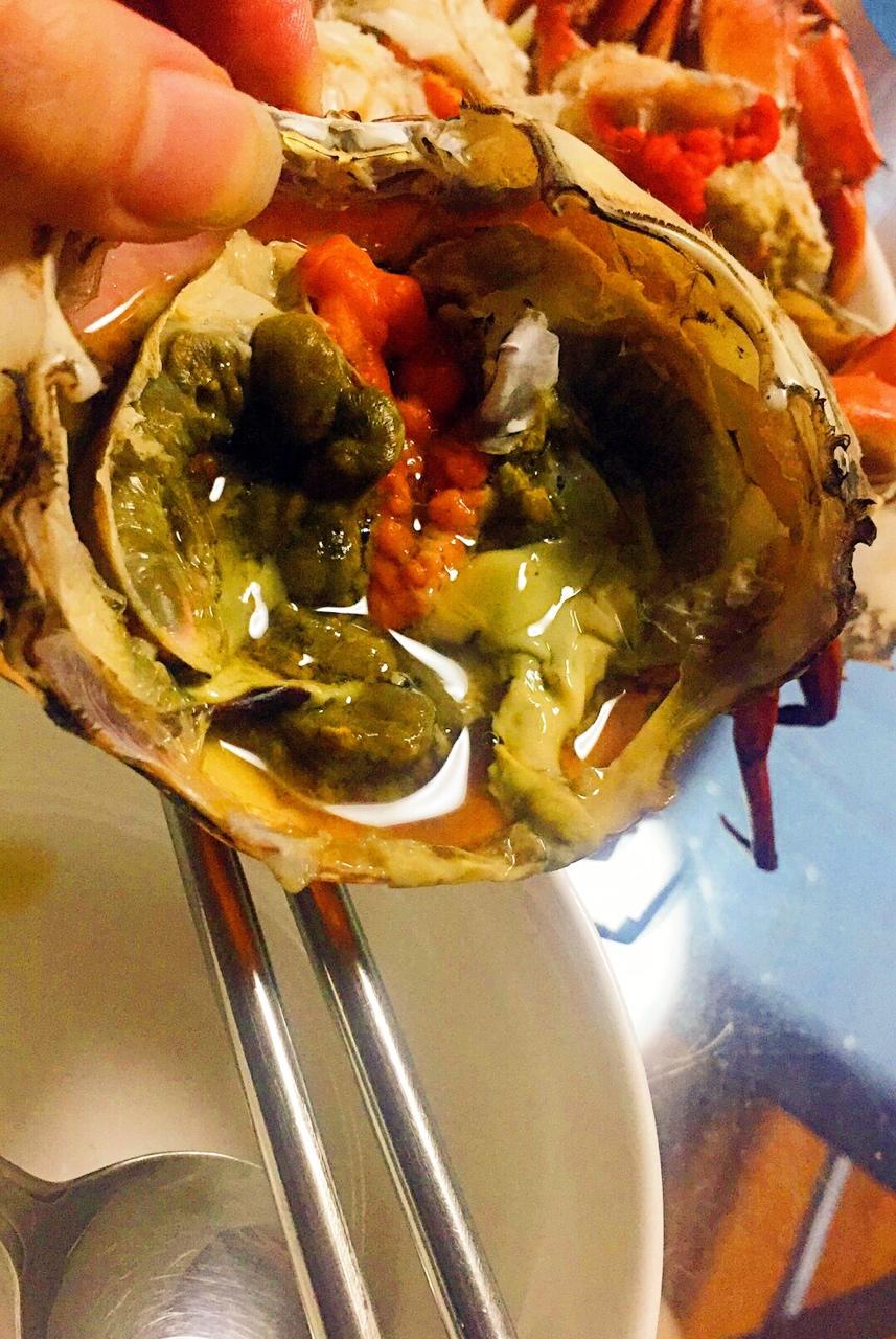 清小欢儿做的清蒸红鲟