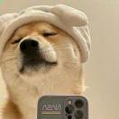 _ipz0a