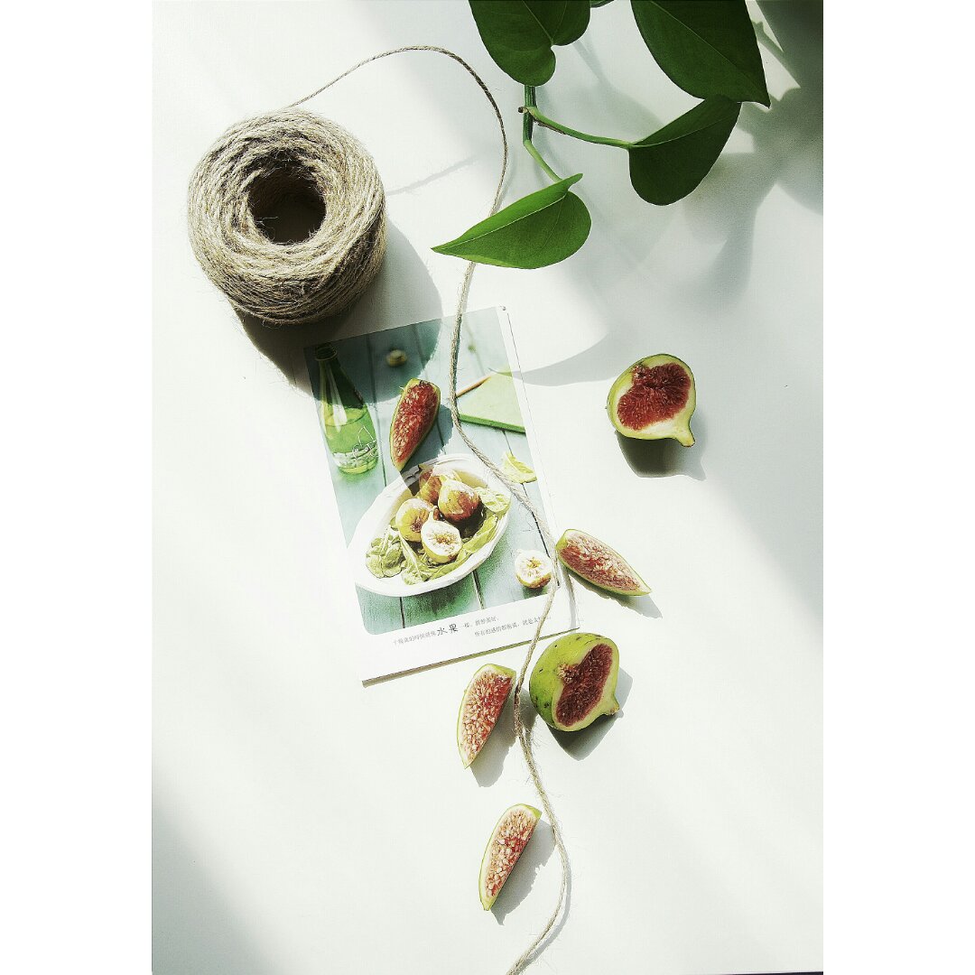 2017 从春约到冬