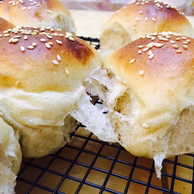 波兰酵头全麦汉堡包🍔（植物油版）