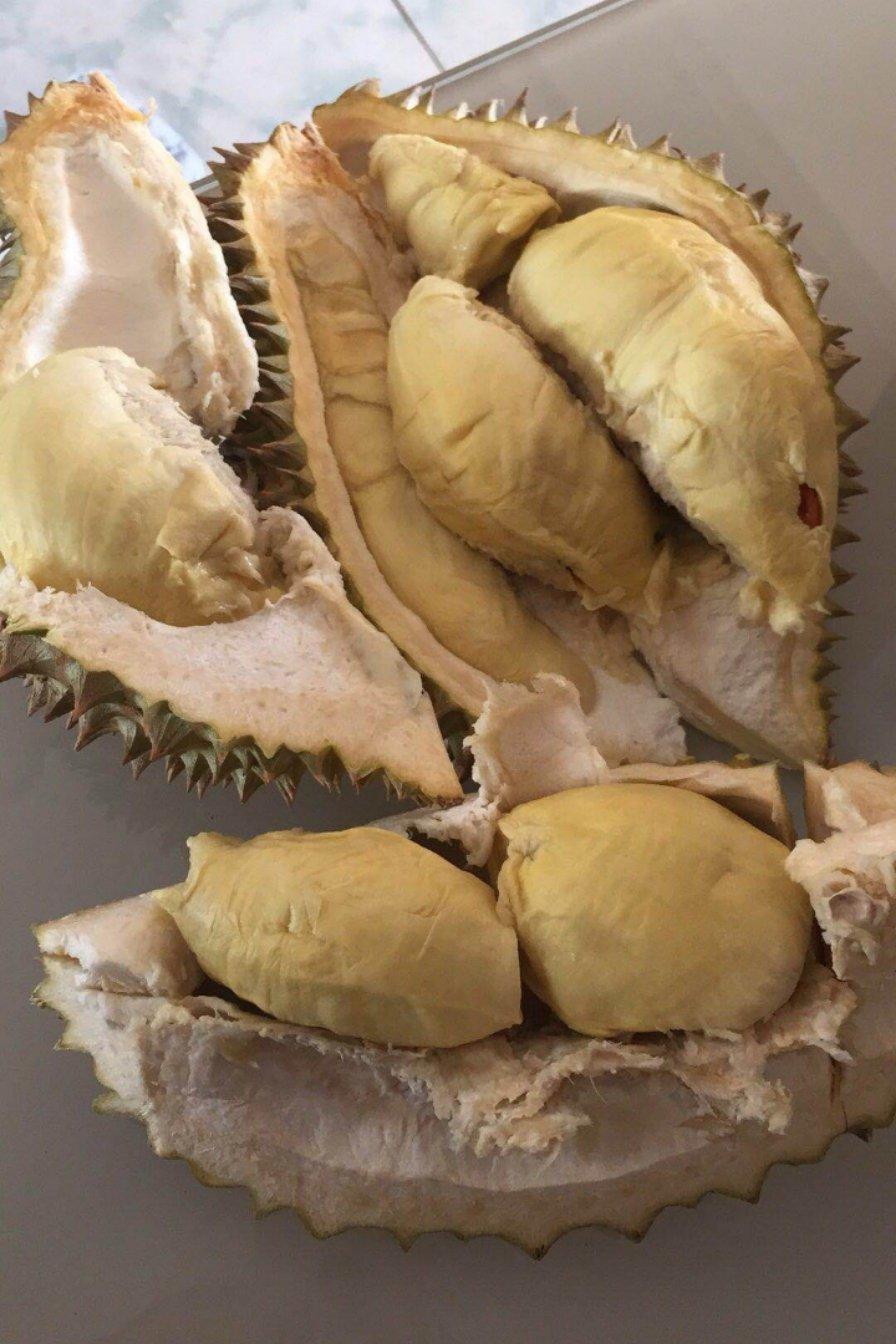 yu家榴莲做的第一次吃到纯自然树熟泰国金枕榴莲