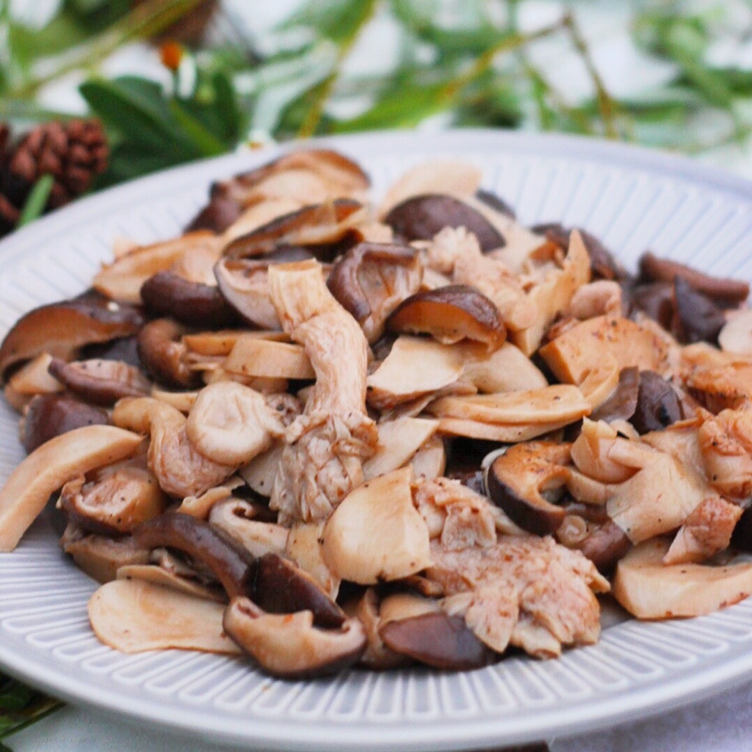 花好月圆之郊外野炊——素食当季东莞站