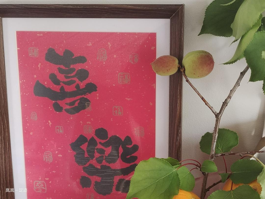 鲁邦种欧包～名不虚传