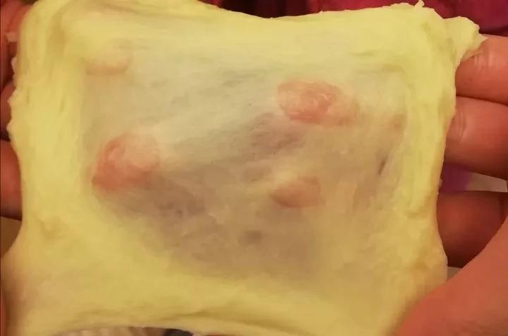 面包机都能揉出手套膜（不用剪刀，面包机出膜最详细指导）