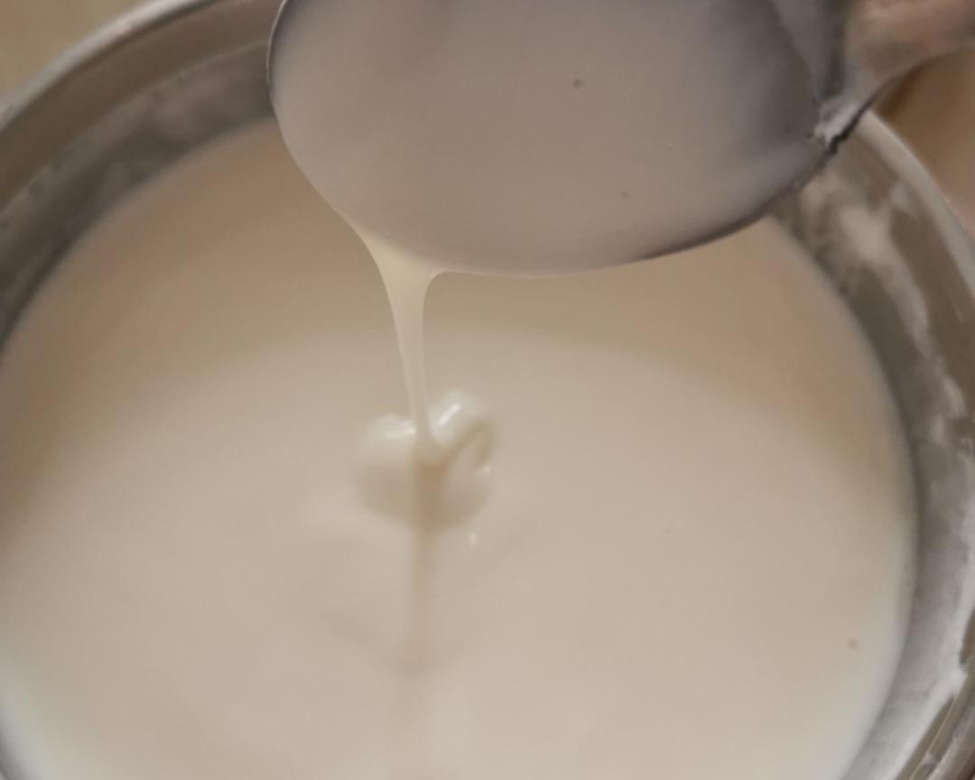 自制酸奶的做法