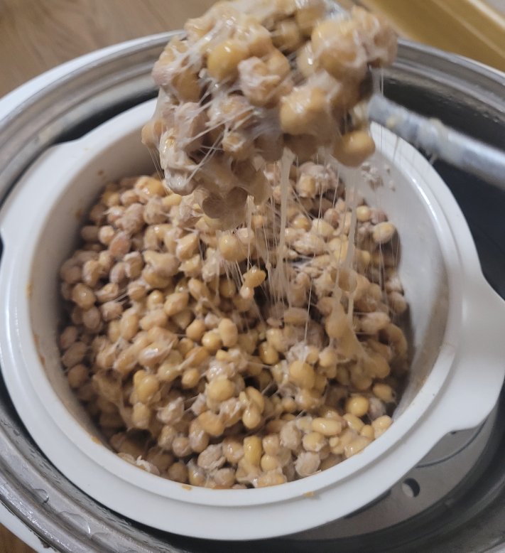 自制纳豆（酸奶机，面包机，烤箱版）