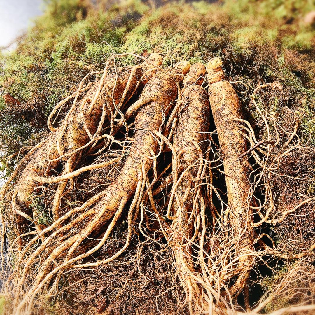 一日三餐五十种食材