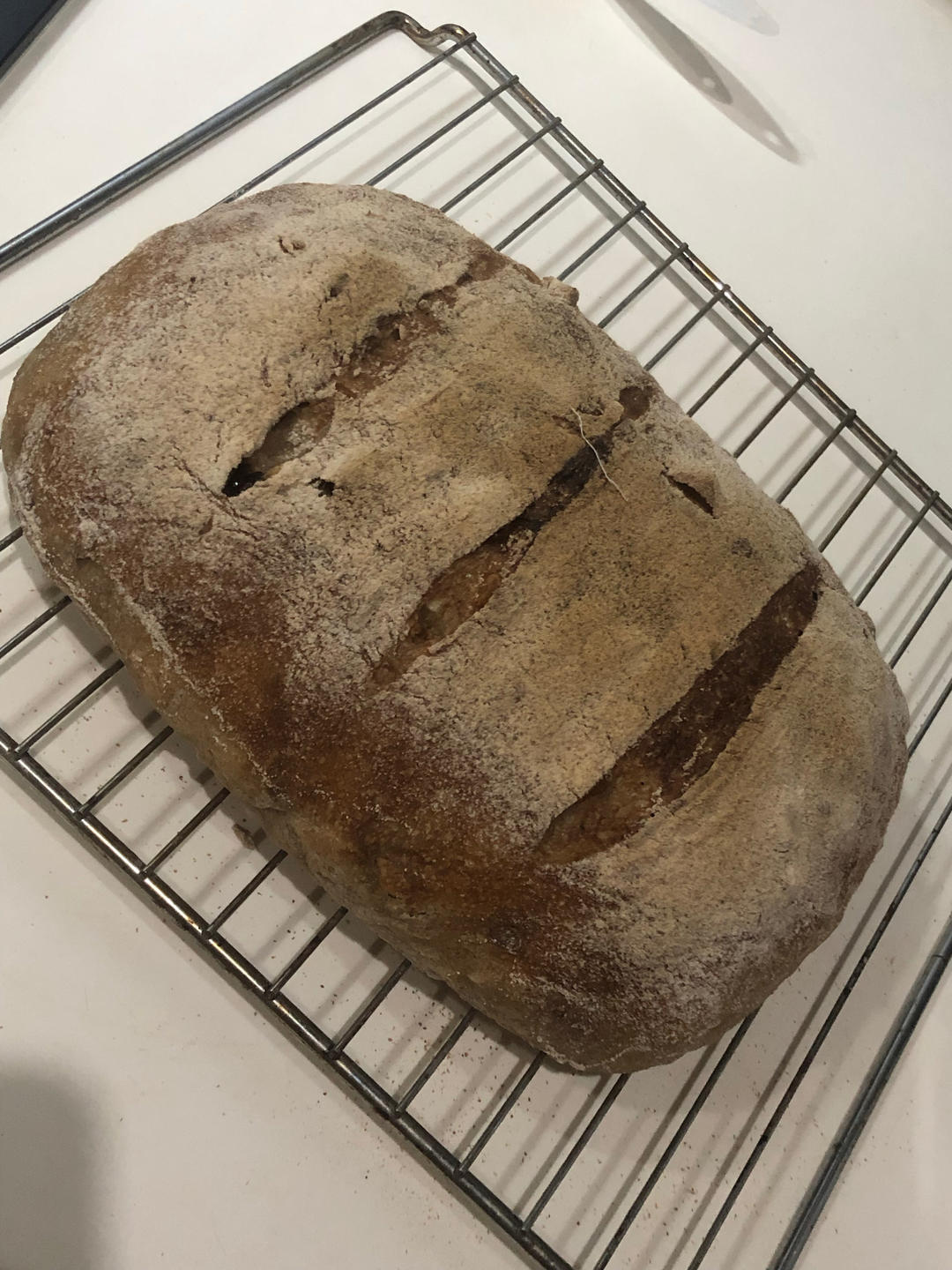 免揉💯无糖无油全麦欧包㊙️健康主食 越吃越香